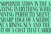 Calixon - Serif Condensed Font, a Serif Font by Indotype Foundry (Thumbnail 2 of 10)