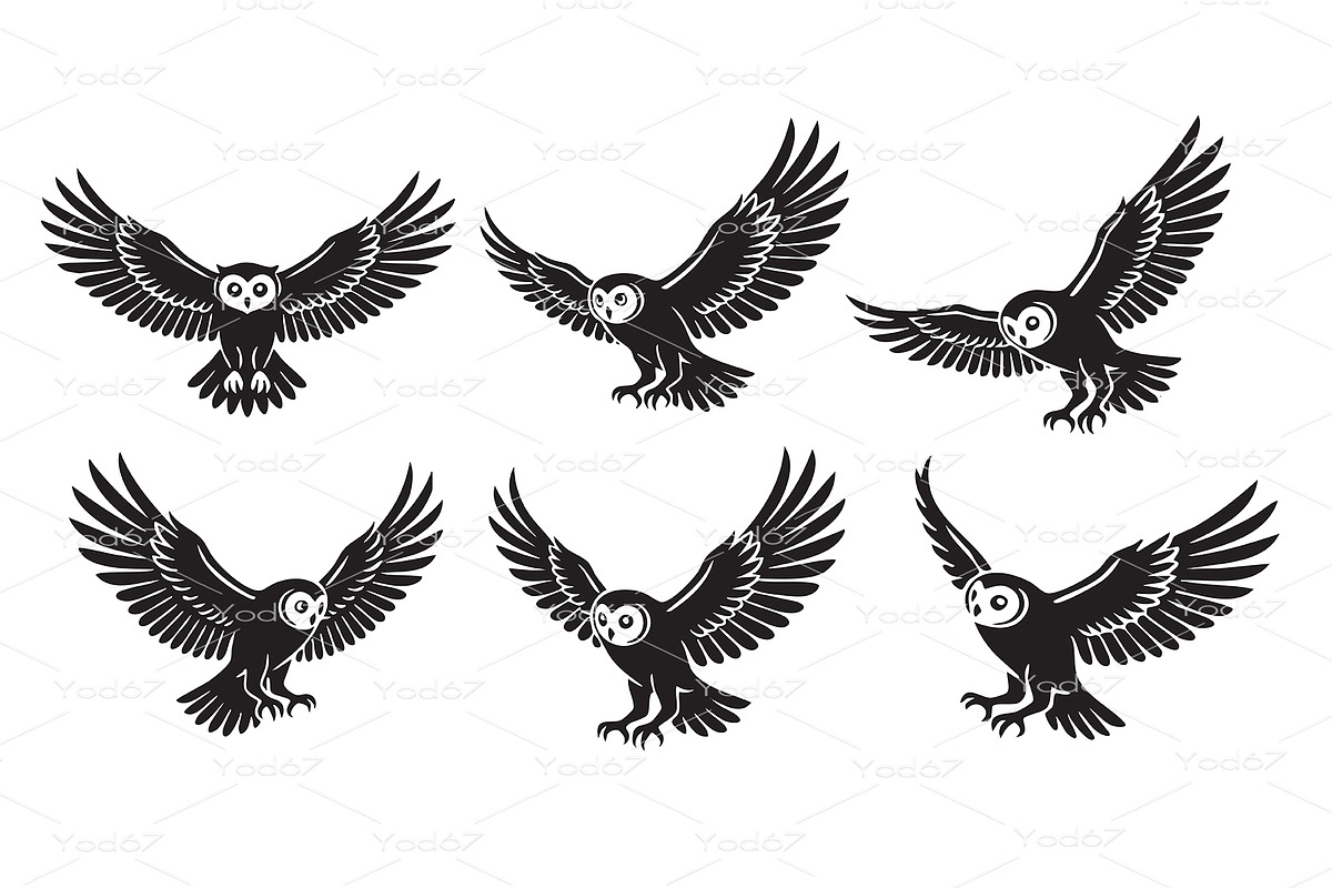 Vector collection of owls in various, an Animal Illustration by yod67