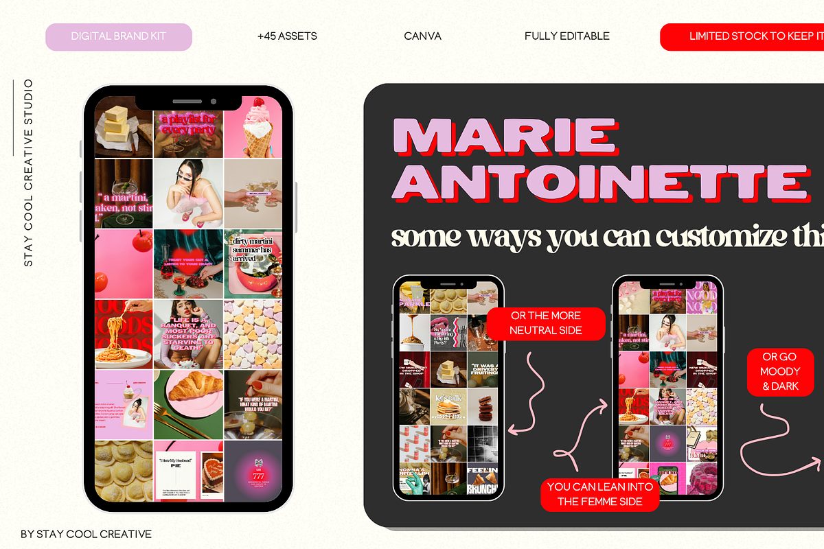 Bold Feminine Brand & Canva Template, a Templates & Theme by Stay Cool Creative Studio (Photo 3 of 5)
