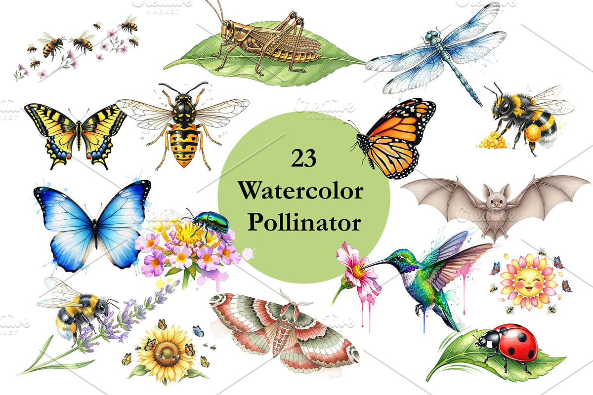 Watercolor Pollinator Clipart, a Graphic by HillTract