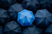116 Umbrellas, a Background Photo by Handmadefont (Thumbnail 3 of 14)