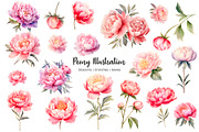 Watercolor peony clipart 21 PNG, an Object Illustration by Art and Funny (Thumbnail 2 of 3)