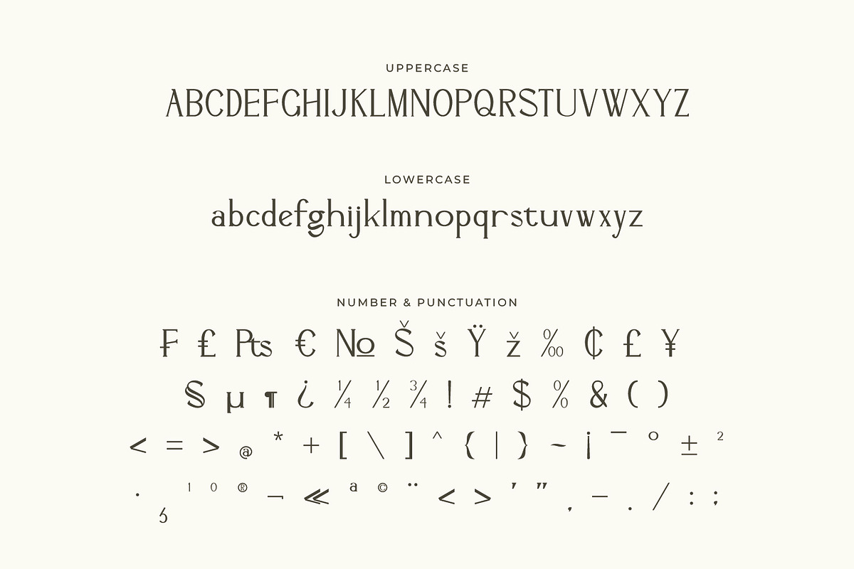 Altovix - Serif Typeface Font, a Serif Font by Rishsketch (Photo 12 of 15)
