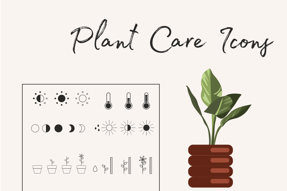 Flower collection, home plants, a Decorative Illustration by Yana_mide (Photo 7 of 10)
