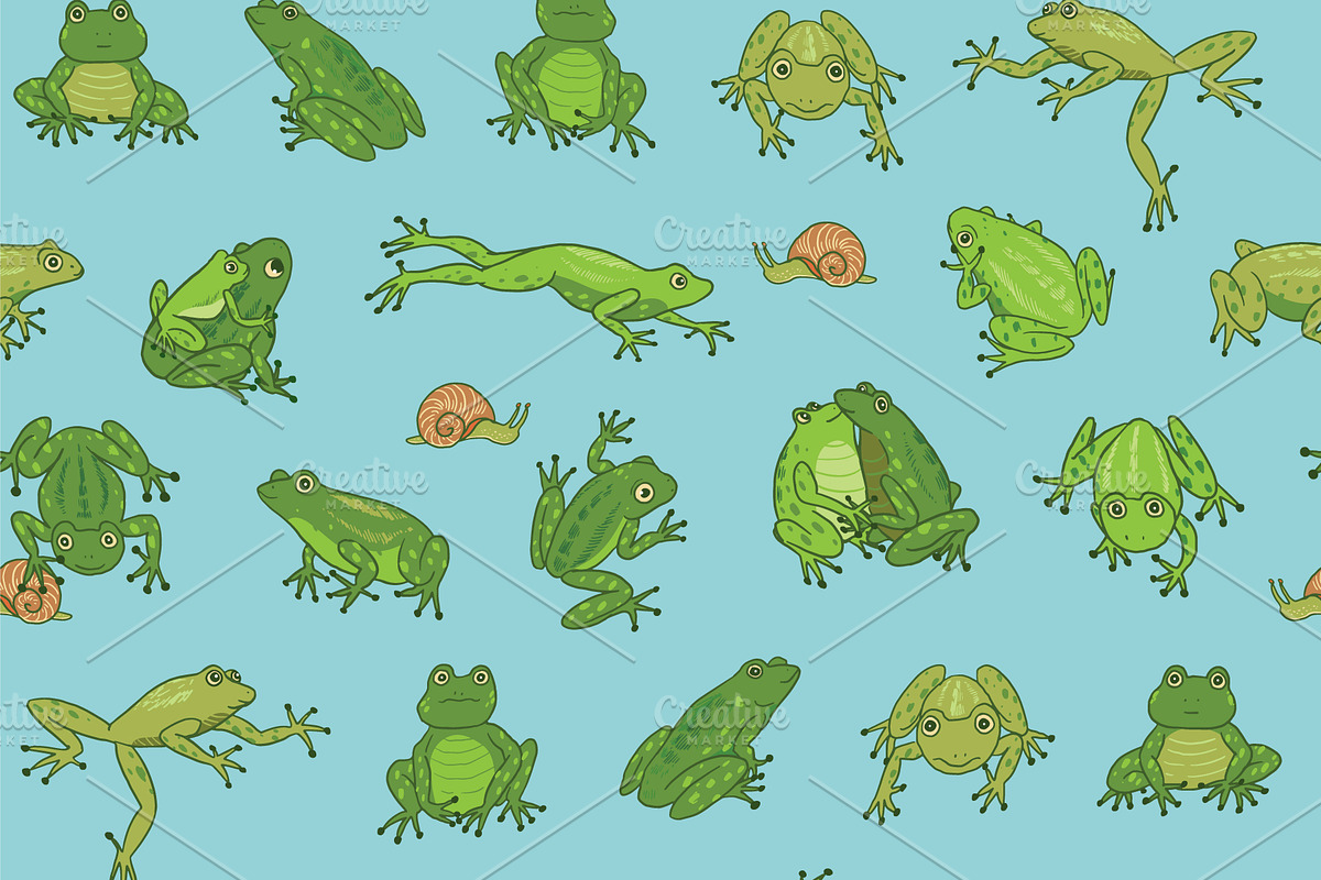 16 Frogs, an Animal Illustration by GooseFrol (Photo 6 of 11)