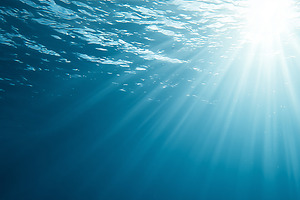Peaceful underwater scene with sun, a Nature Photo by MistyDay