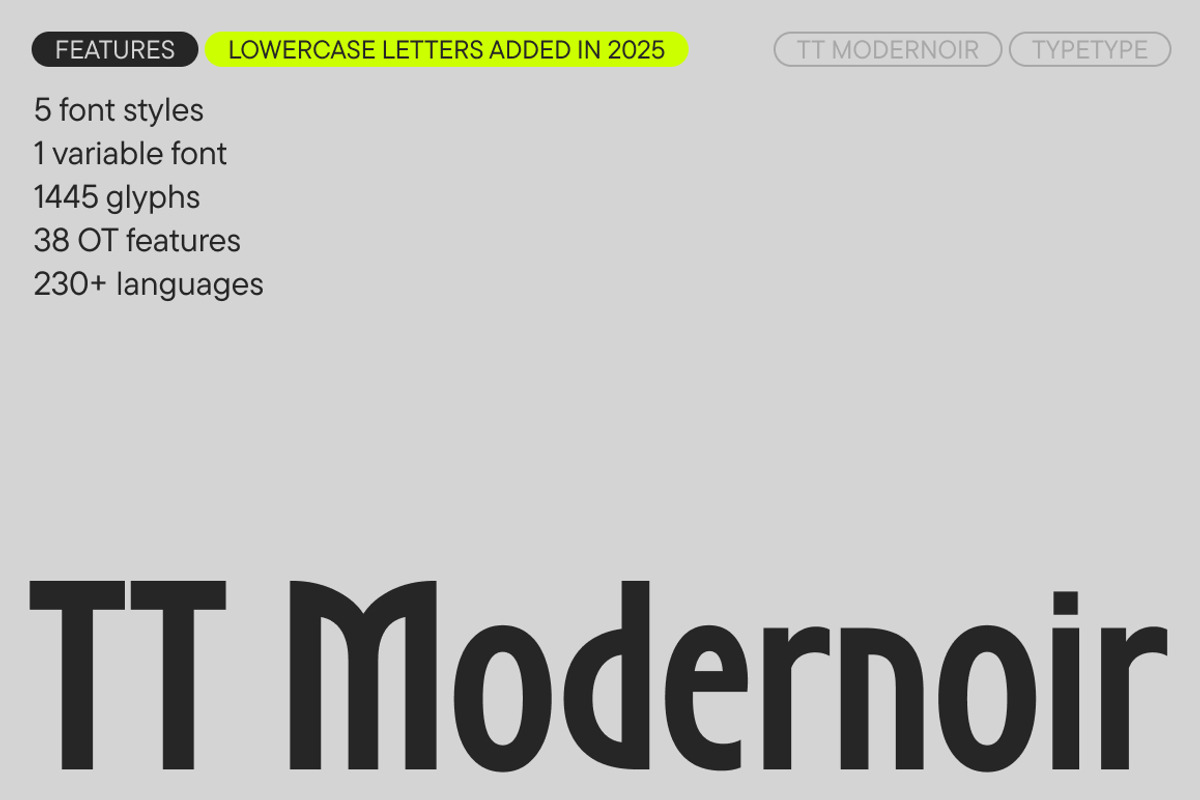 TT Modernoir, a Sans Serif Font by TypeType (Photo 1 of 15)