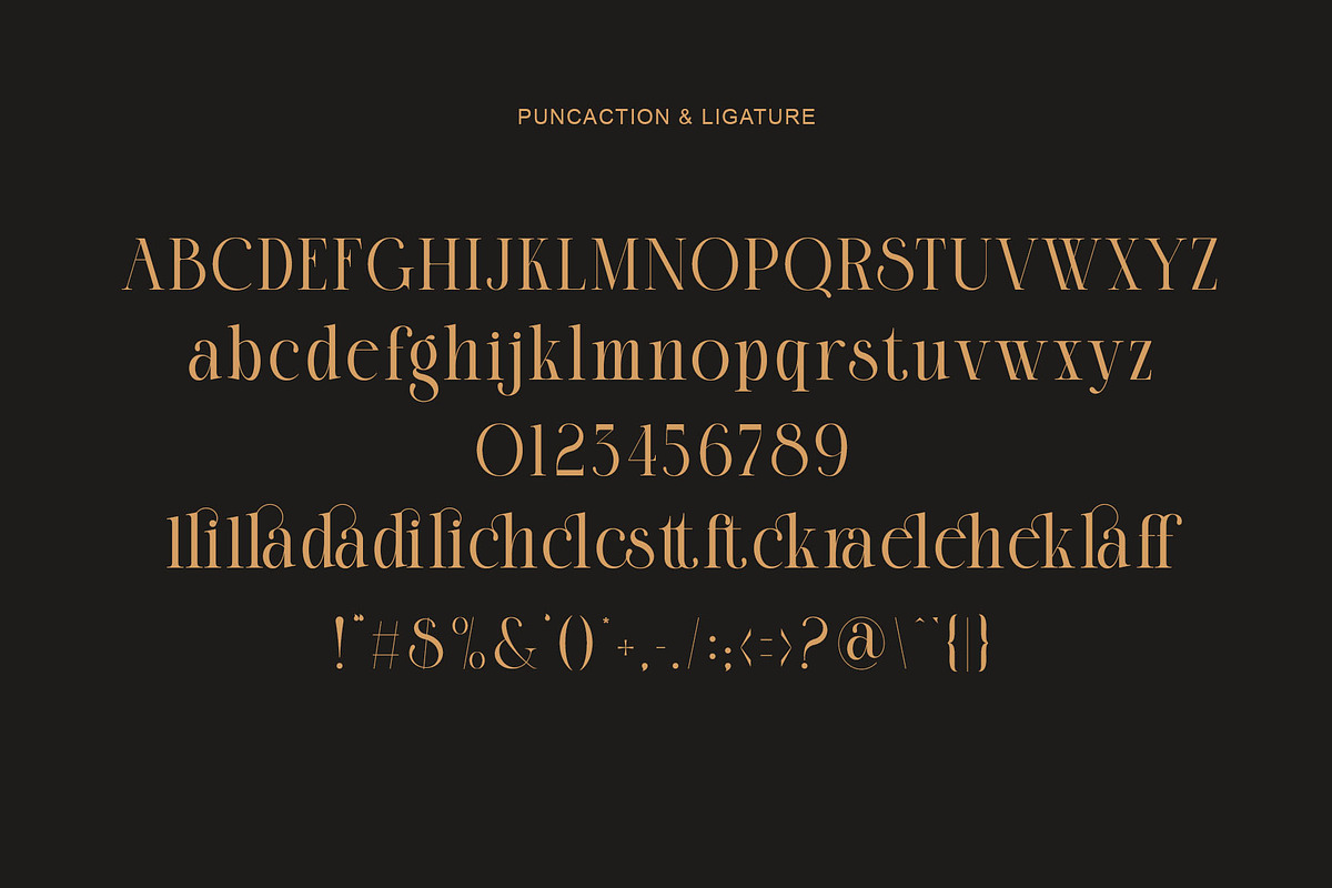 Blanck Modern Ligature Serif, a Serif Font by Alfinart (Photo 8 of 8)