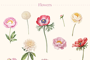 Ornamenta Antiqua - Vintage Florals, a Decorative Illustration by TatianaCociorva (Thumbnail 4 of 4)