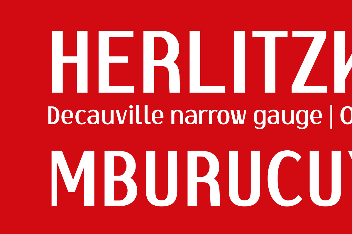 Correntino Railway, a Sans Serif Font by Fabio Ares (Photo 3 of 7)