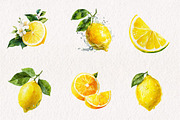 Watercolor Lemon Clipart, an Illustration by CreationArt (Thumbnail 7 of 7)