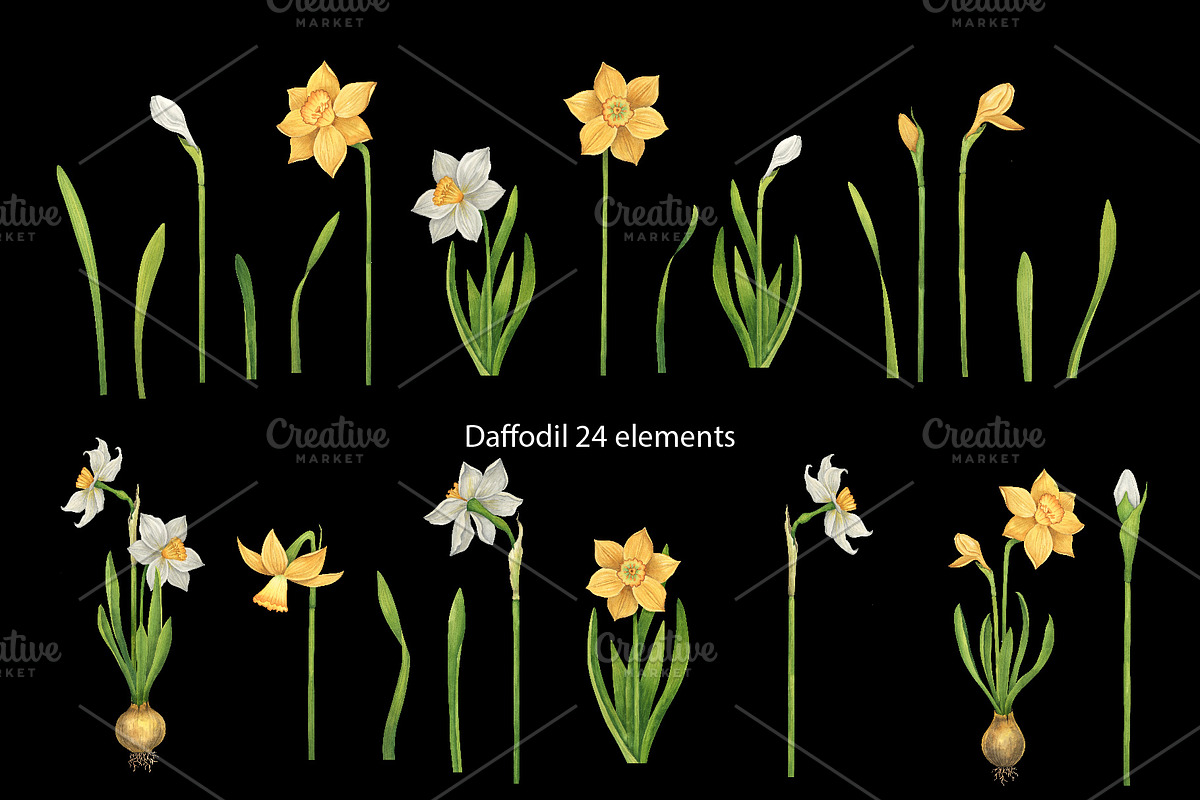 Watercolor wild spring flowers set, a Decorative Illustration by KathrineWatercolor (Photo 6 of 10)