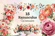 15 Ranunculus Watercolor Cliparts, a Decorative Illustration by Loony Dream Designs (Thumbnail 1 of 5)