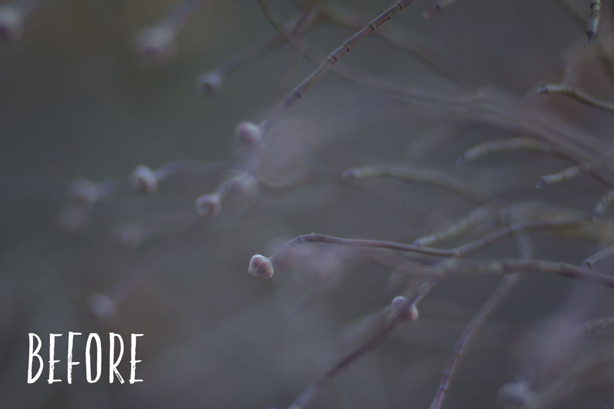 Allium PHOTOSHOP action, an Action Add-On by Les Hirondelles Ph (Photo 7 of 9)