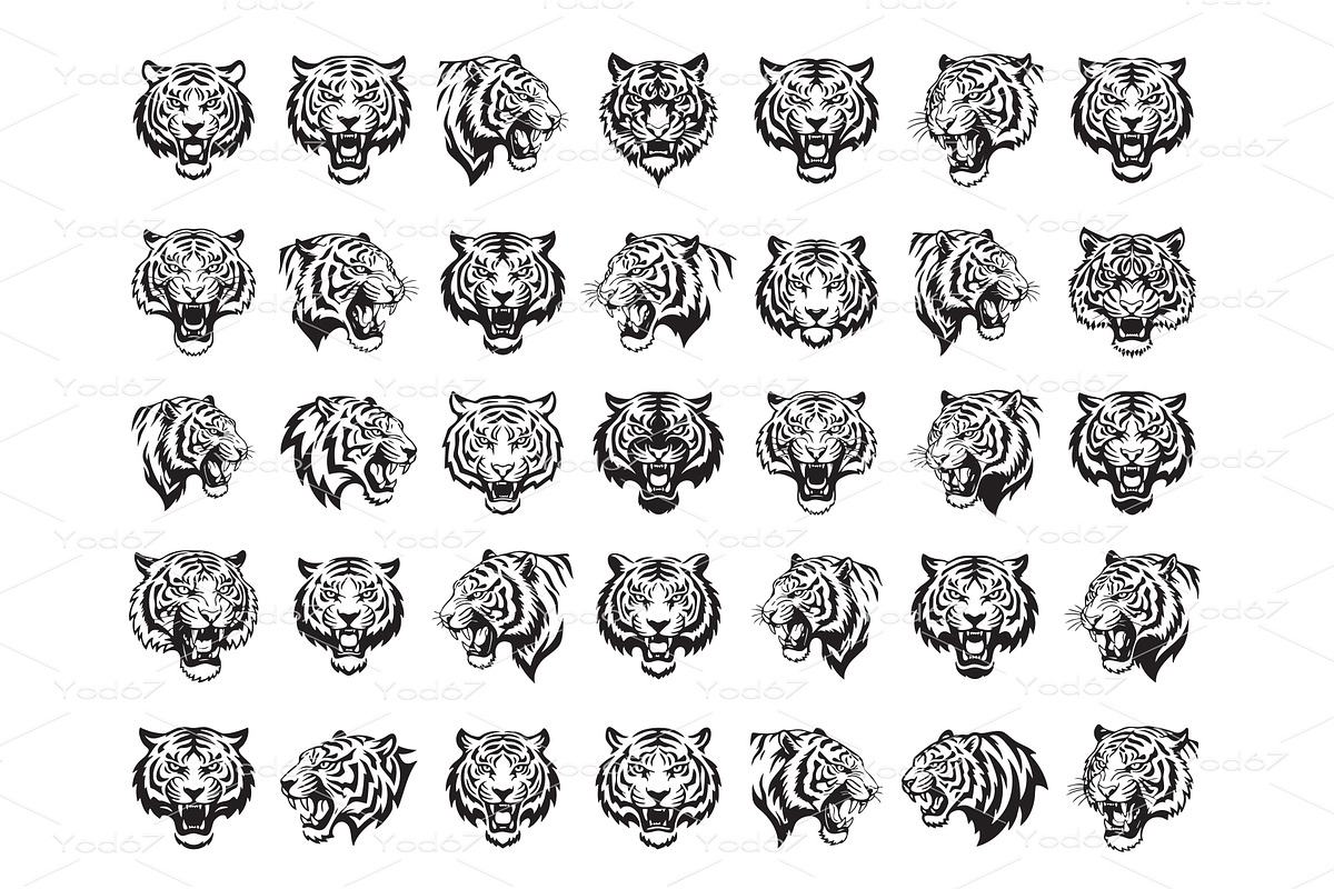 Vector of  tiger head design bundle, an Animal Illustration by yod67