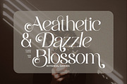 Bolqito - Elegant Luxury Serif Font, a Serif Font by Qweera Studio (Thumbnail 6 of 12)