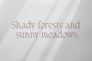 Fernhead Decorative Serif Font