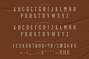 Quickly — Variable Slab Serif Font, a Slab Serif Font by Almeera Std (Thumbnail 9 of 9)