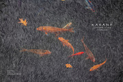 Kasane - Japanese Paper Overlays, a Texture Graphic by alonahaidash (Thumbnail 2 of 18)