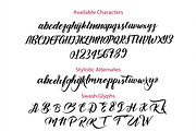 Fanatic Font, a Script Font by Genesis Lab (Thumbnail 5 of 8)