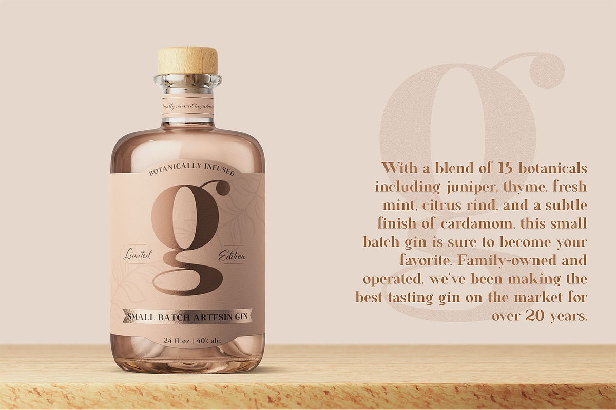 Francois Modern Serif Font, a Serif Font by Fancy Malone (Photo 4 of 12)