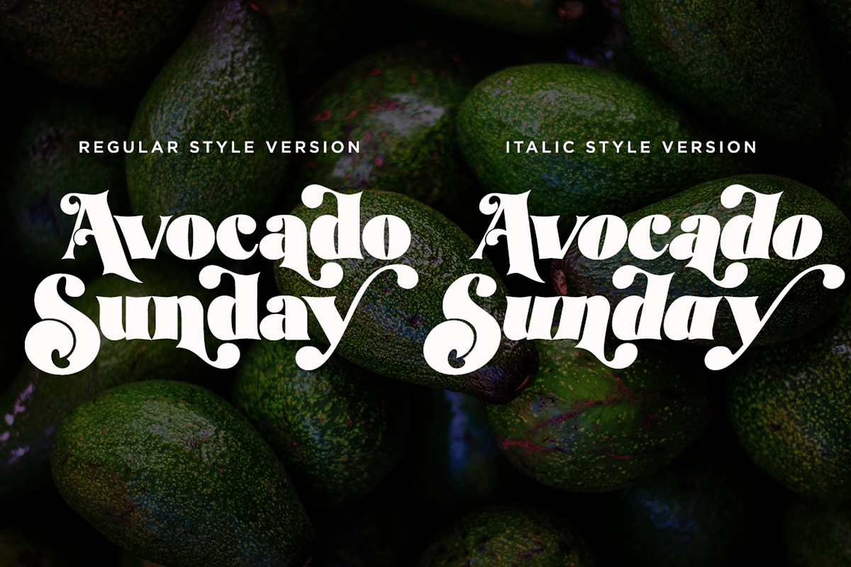 Avocado Sunday - Updated, a Serif Font by Absonstype (Photo 12 of 13)