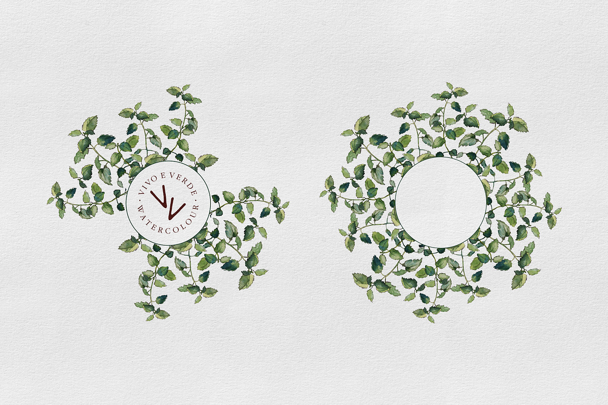 Melissa: watercolor floral elements, an Illustration by vivo e verde (Photo 4 of 11)