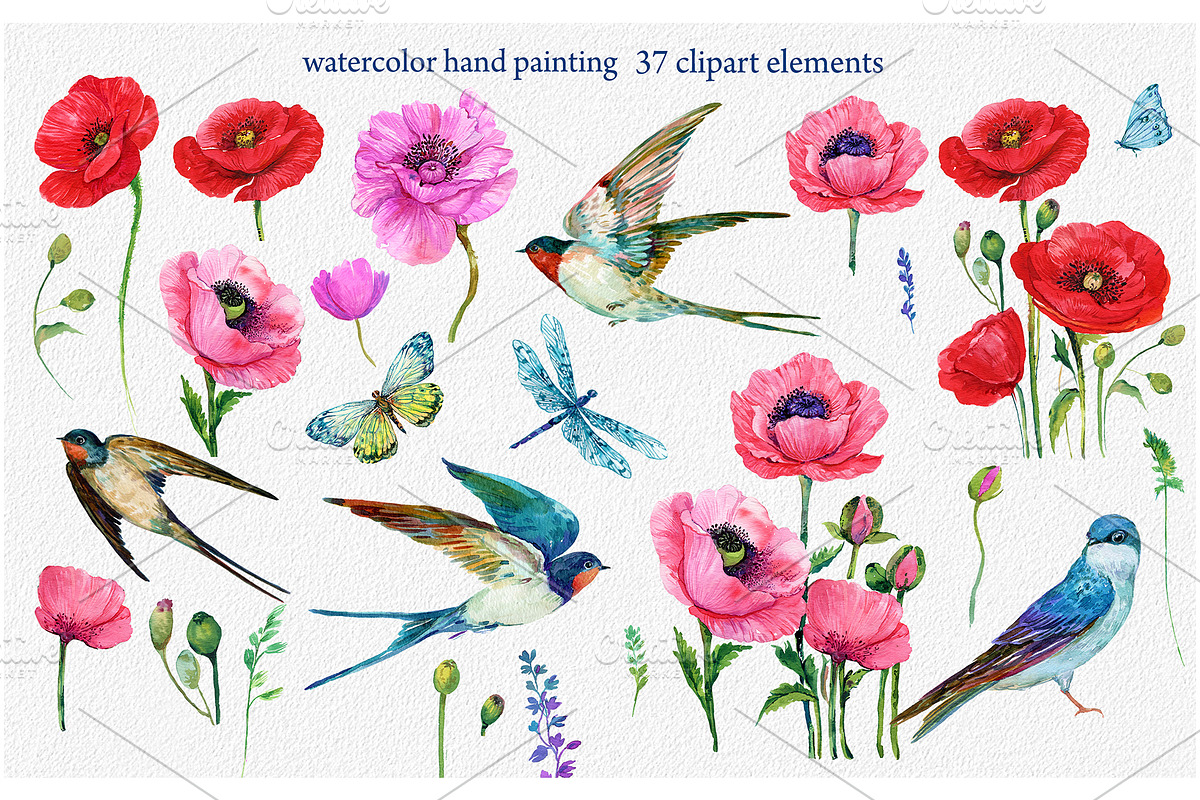 Red Poppies, flowers Clipart, Bird,, an Illustration by NickMitrushov (Photo 2 of 4)