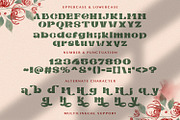 Mibaguy - Decorative Display Font, a Sans Serif Font by StringLabs (Thumbnail 9 of 9)