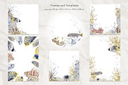 Tropical fish watercolor, an Animal Illustration by Alena Sid (Thumbnail 7 of 11)