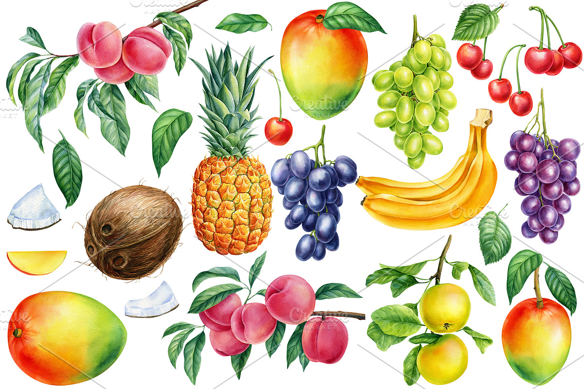 Watercolor fruits clipart, an Illustration by Hanna Hryharenka (Photo 8 of 14)