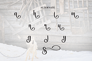 Snoopy | Script Font, a Handwritten Font by Scratchones (Thumbnail 8 of 9)
