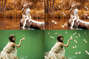 Dragonfly Overlays, an Object Graphic by VligCreativeStudio (Thumbnail 2 of 4)
