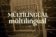 Luna Bloom - Classic Retro Vintage, a Serif Font by Annivers Type (Thumbnail 10 of 10)