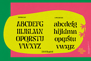 Pink Crestelle Font on Sale, a Slab Serif Font by creativemedialab (Thumbnail 10 of 17)