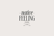 NT VALENTINO, a Serif Font by nevsky.type (Thumbnail 9 of 11)