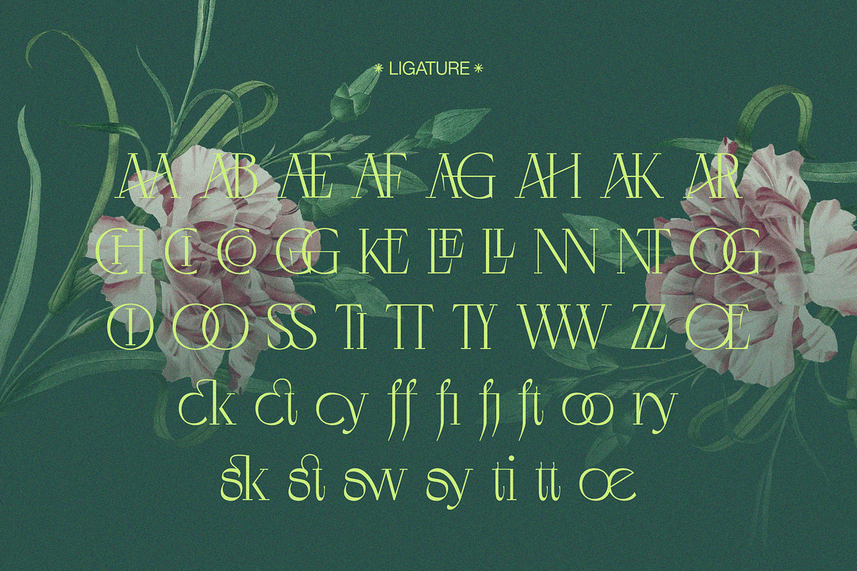 Negkomis — Elegant Ligature Serif, a Serif Font by Enxyclo Studio (Photo 23 of 26)