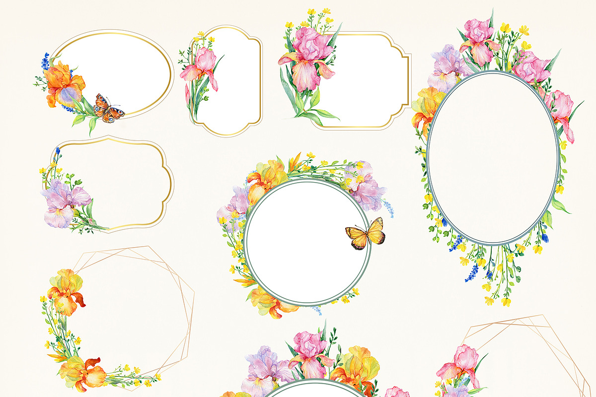 Iris watercolor set, a Decorative Illustration by MitrushovaArt (Photo 4 of 13)