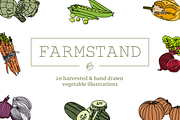 20 Handdrawn Vegetable Illustrations, a Food Illustration by Linseed Studio (Thumbnail 1 of 3)