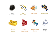 Coral Reef Animals, an Animal Illustration by Deemak Daksina (Thumbnail 3 of 3)