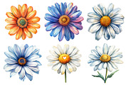 Watercolor Daisy Clipart Bundle, an Illustration by Daily.Designs (Thumbnail 2 of 5)