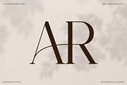 The Estory Modern Serif Font, a Serif Font by Idea Studio (Thumbnail 9 of 12)