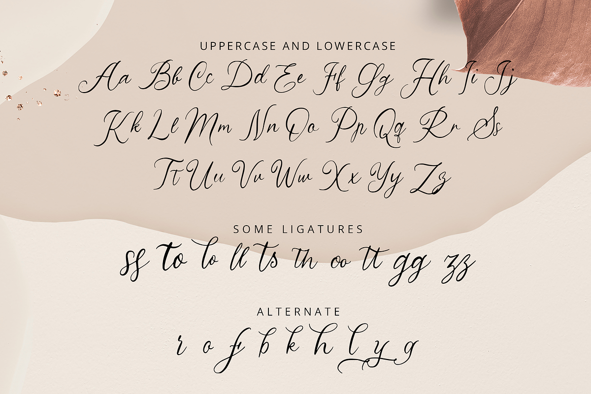 Wildyaa - Handwritten Font, a Script Font by overlaytemplates (Photo 4 of 5)