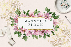 Magnolia bloom - spring floral set