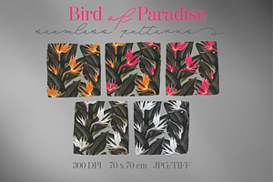 Bird Of Paradise Patterns