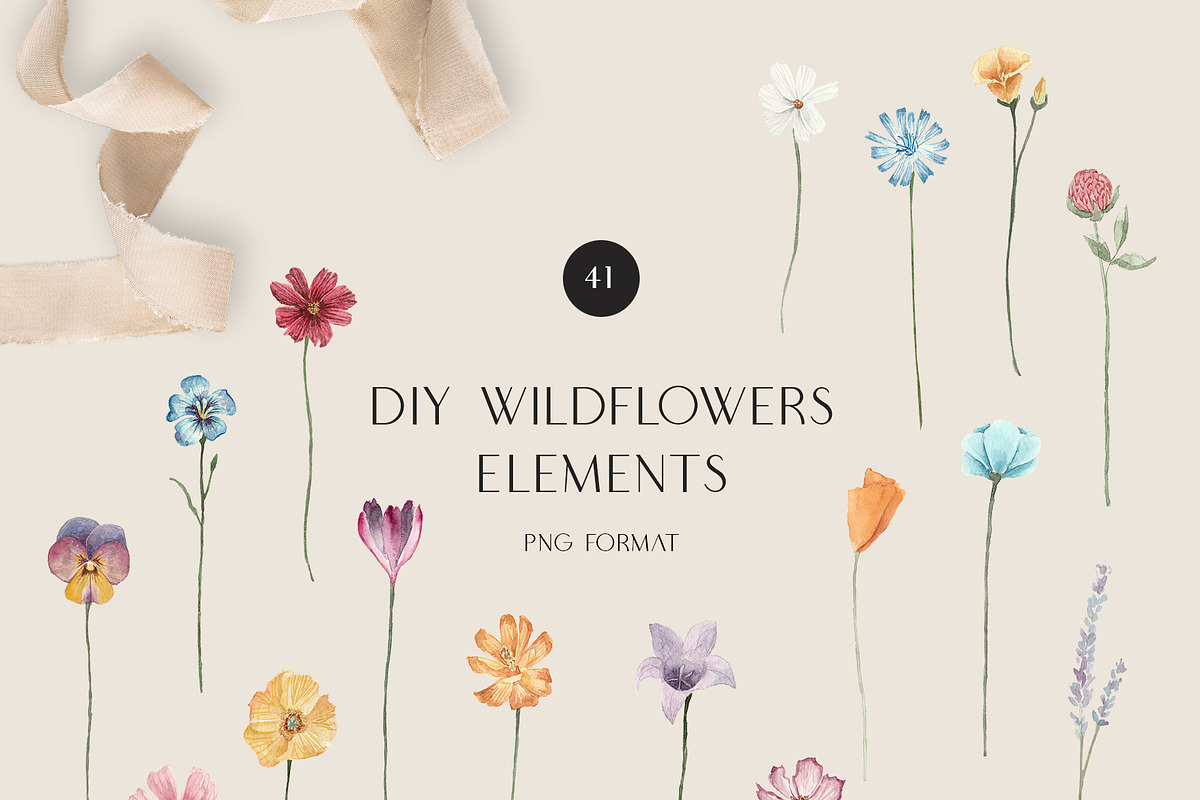 MEADOW bright wild flowers set, a Decorative Illustration by Grace Noboa Illustrations (Photo 7 of 8)