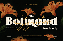 Bolmand Signature