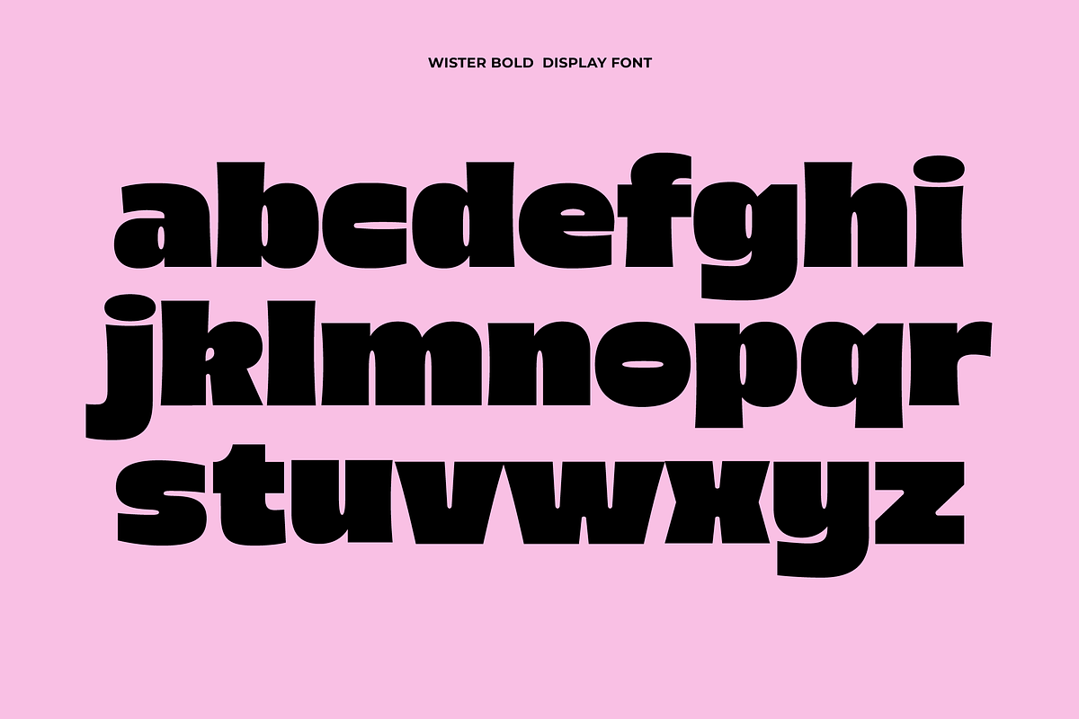 Wister - Bold Font, a Sans Serif Font by limitype (Photo 8 of 12)