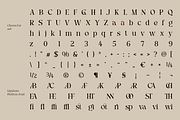 Picktea – Elegant Luxury Serif, a Serif Font by roomspace creative lab (Thumbnail 10 of 12)