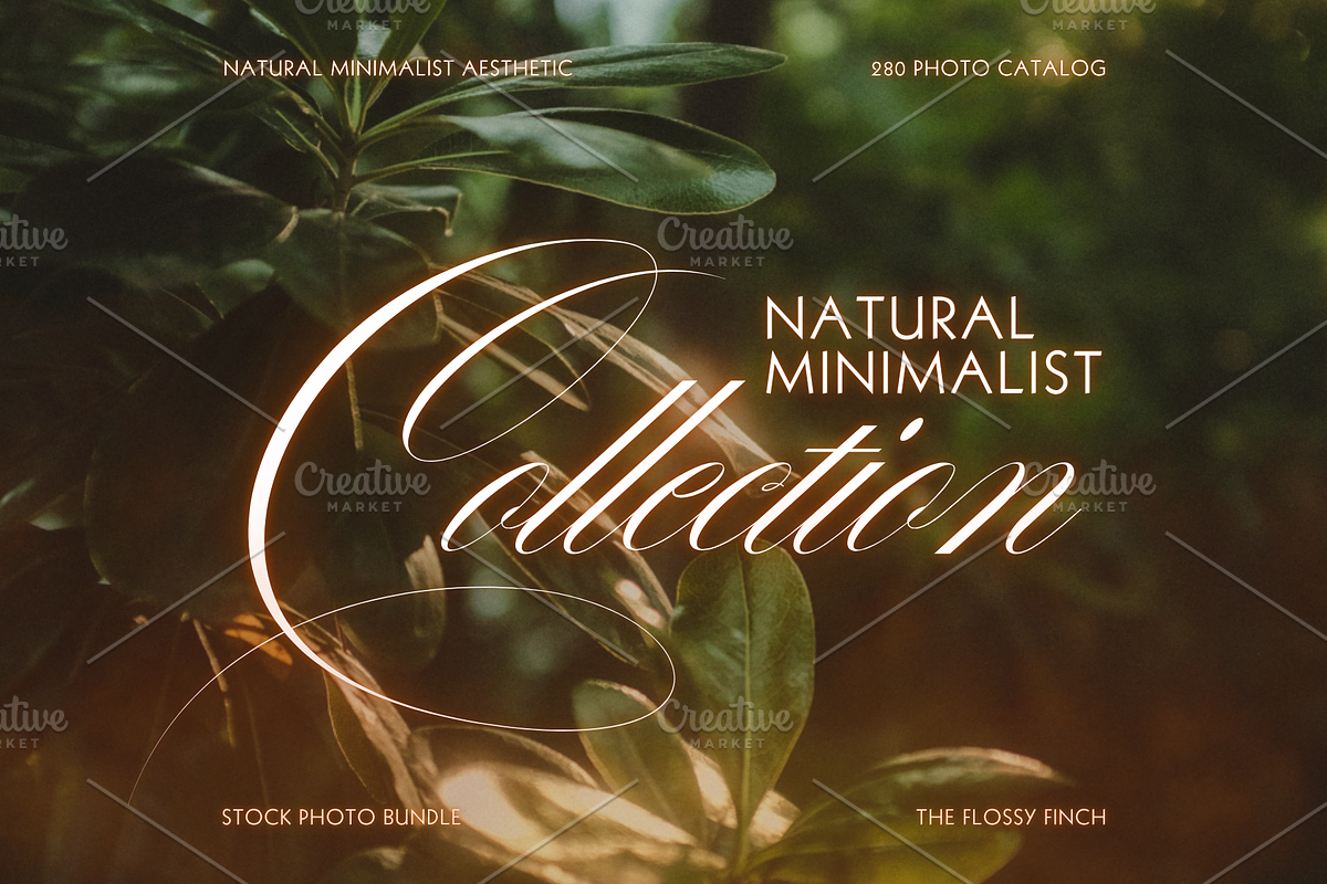Natural Minimalist Photo Bundle, a Nature Photo by The Flossy Finch (Photo 11 of 15)